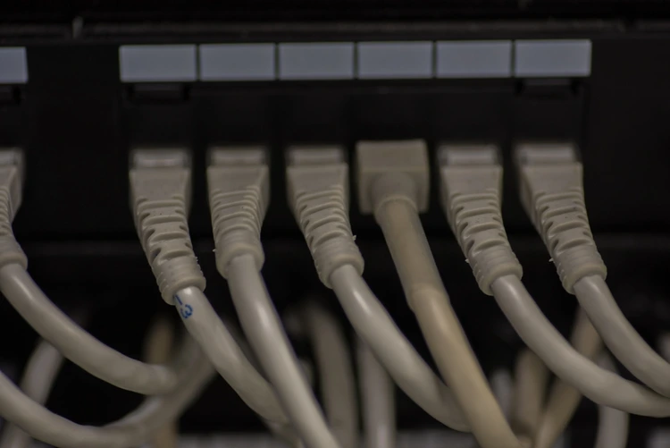 close-up-shot-of-lan-cables-connected-to-server-2025-01-09-01-59-01-utc 